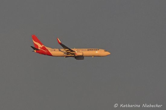 Der Flughafen ist nicht weit von uns entfernt, weshalb wir jeden morgen neben dem Reiten die Flugzeuge beim Landeanflug beobachten können. Da kommt jeden morgen so einiges runter... Für die Passagiere ist es bestimmt ein toller Eindruck, Melbourne von oben im Schein der aufgehenden Sonne zu sehen.