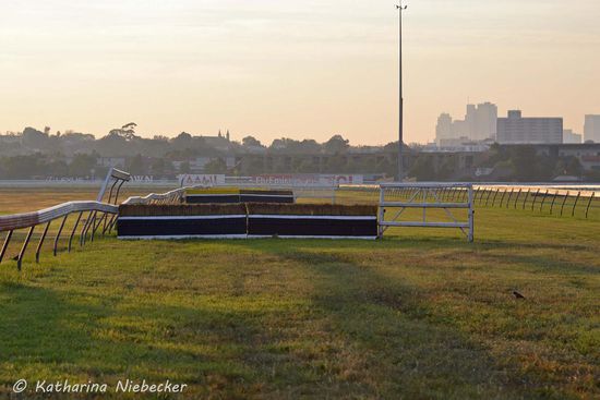 Die Hindernisse zum Training, welche jedoch selten benutzt werden. Ich bin diese hier schon übersprungen. 