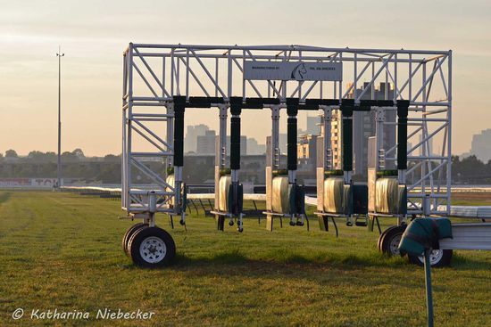 Neben der Hindernisstrecke gibt es ein Stück gerade Grasbahn mit einer manuellen Startmaschine zum Training der jungen Pferde.