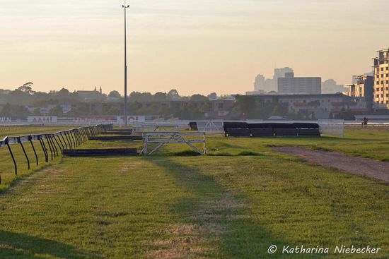 Parallel zu der Strecke mit der Startmaschine verläuft noch dieser Stück Streifen Gras mit kleinen Holzsprüngen (sogenannte "Logs") und rechts daneben die großen Sprünge für die Jagdrennen (sie werden nicht mehr benutzt). Die "Logs" habe ich immer für das Springen mit ein paar Pferden von Kavanagh benutzt.