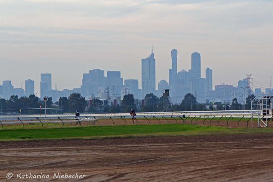 Ein Blick über die Rennbahn auf die Skyline von Melbourne - ein alltäglicher Anblick, den ich immer wieder gerne sehe.