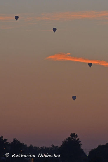 Einen (fast) alltäglicher Anblick bieten auch die Balloons, welche vor Sonnenaufgang je nach Wetterlage ihr Reise starten. Manchmal starten sie sogar direkt von dem Gelände hinter der Rennbahn, so das wir sogar den Start beobachten können (hängt von der Windrichtung ab). Neben den "normalen" Balloons sieht man hin und wieder auch ein fliegendes Haus oder ein fliegendes Bierglas.... Immer wieder etwas neues, aber immer wieder schön zum betrachten....