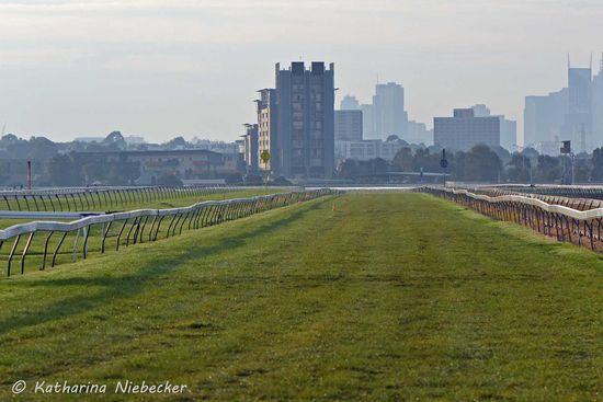 Ein Blick auf die Steeplechase-Gradbahn, welche keine Hindernisse hat. Sie wird abwechselnd mit der anderen Grasbahn für die Gras-Galopps genutzt. Außerdem finden hier die meisten Jump-Outs statt (die Trainingsrennen am Freitag).