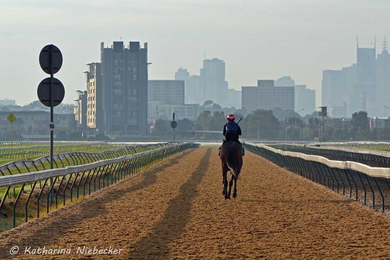 Neben der Grasbahn liegt die "Pro-Ride"-Bahn, welche aus einem Gemisch von Sand und Textil besteht. 
Neben dem Pro-Ride liegt noch die Dirt-Bahn und außen daneben folgt dann die Gras-Rennbahn für die Rennen.