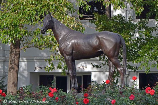 Endlich habe ich sie gefunden: die Statue von Phar Lap - der australischen Renn-Legende! Hat ja auch nur fast 10 Monate gedauert  (er steht ausgestopft im Melbourne-Museum)
