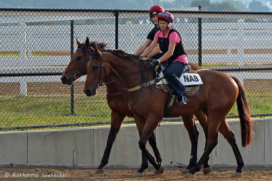 Jo und Sean kommen aus dem Tunnel und sind auf dem Weg zur kleinen Sandbahn, wo sie eine gute halbe Runde herum traben, bevor es zum Galoppieren geht. Somit beginnt der Ablauf von neuem: Traben, Galoppieren, nach Hause reiten.....