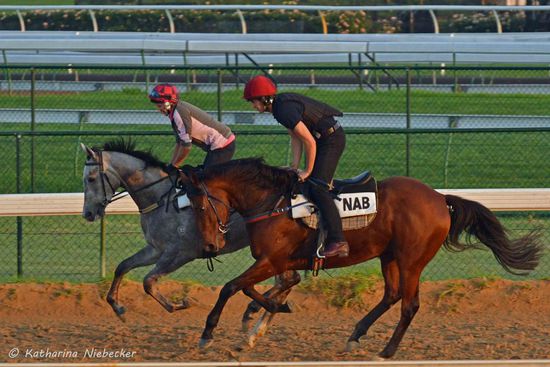 Jo und Sean beim Galoppieren auf der großen Sandbahn.