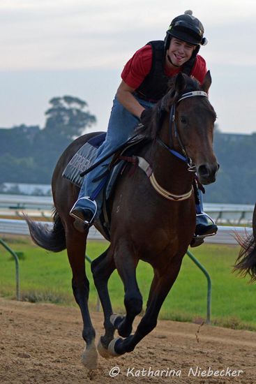 Es gibt auch jede Menge Spaßvögel auf der Rennbahn - hier einer aus dem Rennstall O'Brien.
