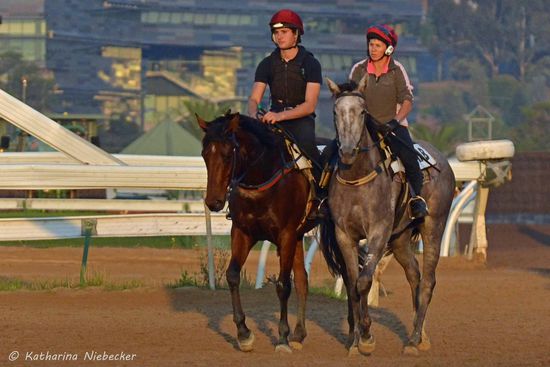 Diese beiden sind nach Überqueren der Sandbahnen auf dem Rückweg durch die Mitte der Rennbahn.