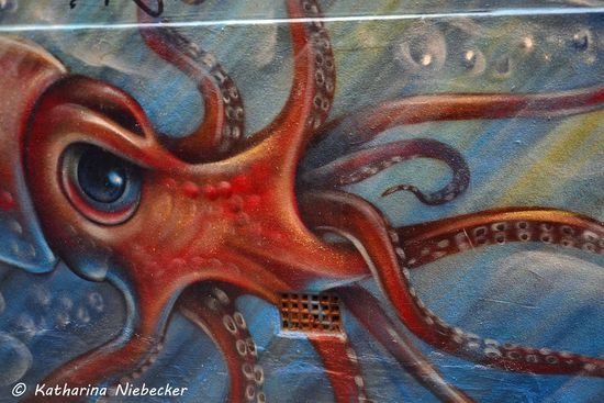 Mein Lieblingsmotiv - ein Ausschnitt von einem Riesenkrake in der Hosier Lane, einer Straße mitten im CBD, wo sich Künstler verewigen können.