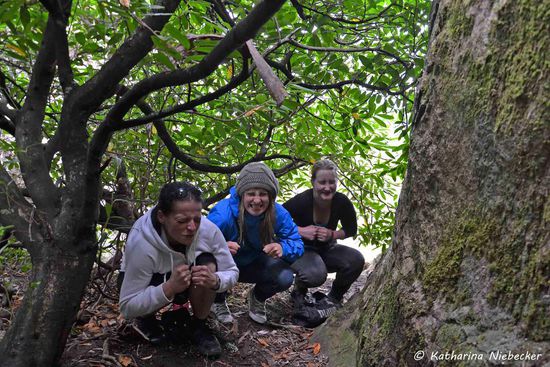 Und was machen die drei Hühner hier auf unserem Weg durch das Gebüsch? Wieder jede Menge "Mist"..... 