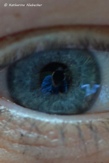 Bei dieser Nahaufnahme sieht man meine Spiegelung im Auge.....