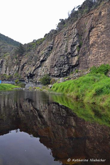 Eine schöne Spiegelung an einem kleinen Creek, welcher bei Lorne ins Meer mündet.