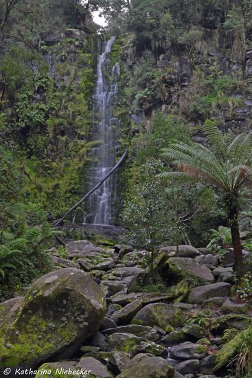 Erskine-Falls bei Lorne