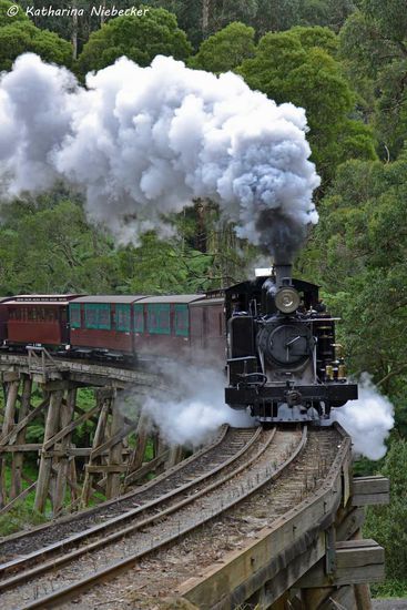 Puffing Billy überquerrt die historische Brücke, welche noch aus seiner Entsteungszeit ist.