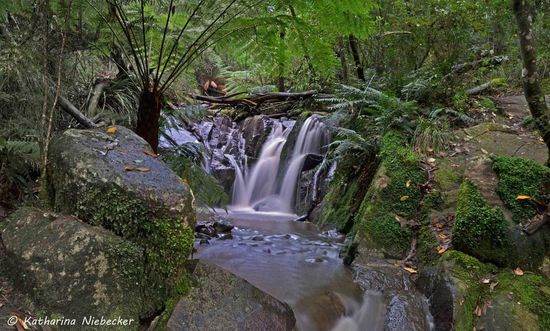 Panorama von den "Lower Olinda Falls"