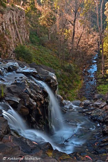 Ein Blick von oben auf einen kleinen Teil der Trentham Falls, welcher relativ wenig Wasser geführt hat, auf das Tal, in welches er hinab stürzt.