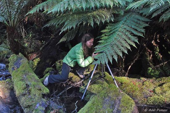 Ich beim Fotografieren bei den Cora Lynn Falls....