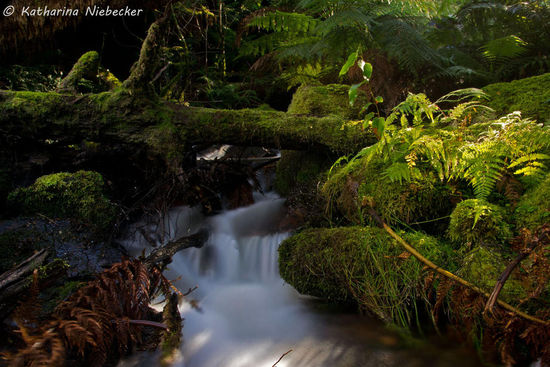 Cora Lynn Falls - Yarra Ranges