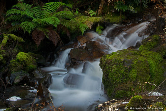 Cora Lynn Falls - Yarra Ranges