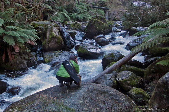 Und dann werden Fotos gemacht......