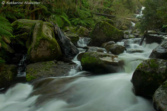 Das war meine Sicht der Szenerie durch meine Linse......