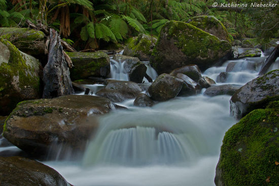 Ein wunderschöner Spielplatz um Fotos zu machen.....