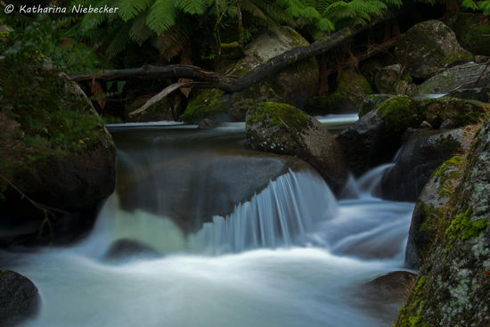 Keppes Falls - Yarra Ranges National Park