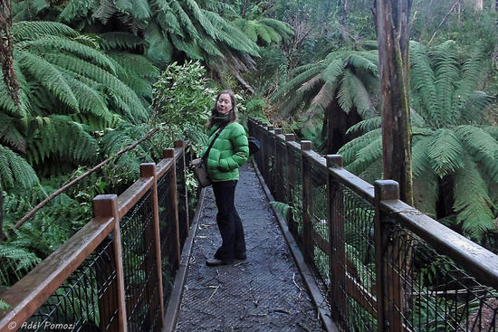 Auf dem Rückweg zum Auto....... Langsam hatte ich genug für heute....