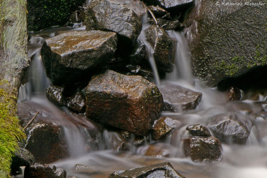 Makro-Aufnahme von dem Wasserspiel an den Sherbrooke-Falls.