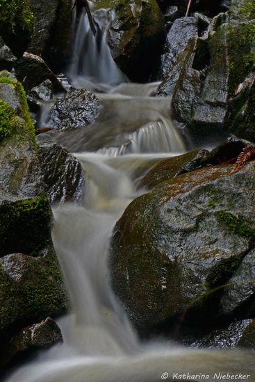 Makro-Aufnahme von dem Wasserspiel an den Sherbrooke-Falls.