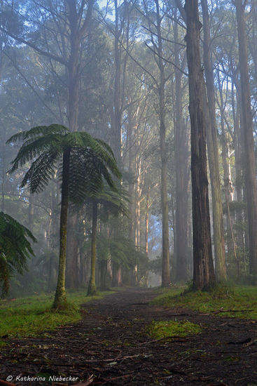 Von dieser Ansicht konnte ich einfach nicht genug bekommen.... Am Ende des Weges war leider schon der Parkplatz, wo mein treuer Begleiter auf uns gewartet hat....