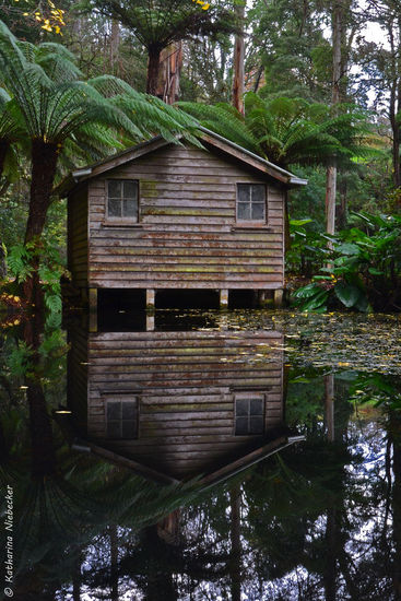 Das "Boat House" von vorne auf Höhe des Wasserspiegels gesehen. Ich habe meinem Stativ quasi heute das Tauchen beigebracht...  Ich finde, die Spiegelung ist ziemlich gut gelungen...