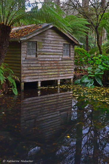 Hier das Bootshaus noch von einer anderen Perspektive....