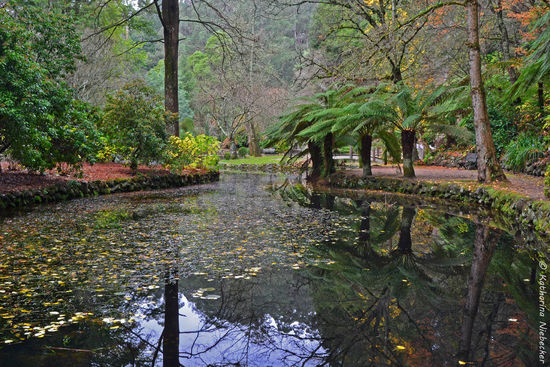 Ein Blick über den künstlich angelegten, aber wunderschönen kleinen See im Tal des Alfred Nicholas Memorial Garden vom Bootshaus aus gesehen.