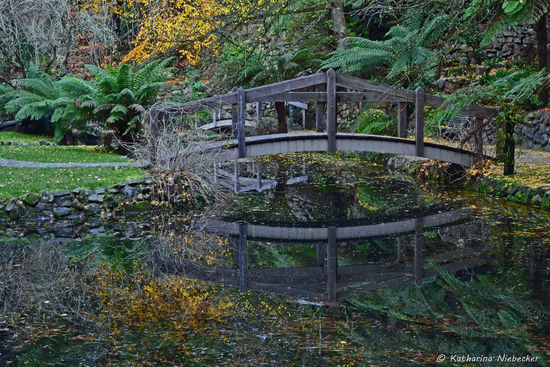 Spiegelung einer der kleinen Brücken an dem verspielt angelegten See....