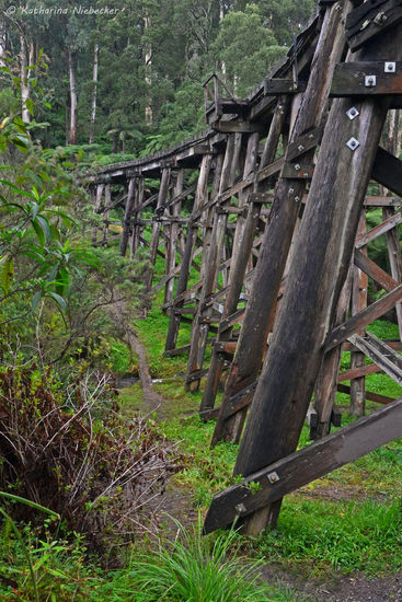 Endlich konnte ich selbst mal ein Foto von der historischen Holz-Brücke machen... Als ich mit Marco hier war, war ich nicht in der richtigen Stimmung und letztes Wochenende mit Grit, hatte ich ja nur meine Makro-Linse und das Tele-Objektiv, da meine normale Linse nicht mehr funktionstüchtig ist.... Für heute hatte ich mir von Sodad (dem Semi-Fotografen) eine Linse ausgeliehen....