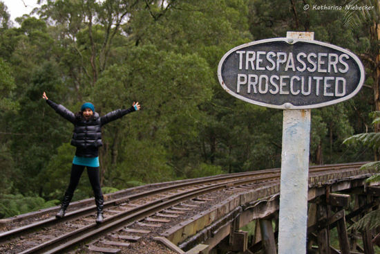 "Trespassers Prosecuted" - zu deutsch: Strafrechtlich verfolgt...... Na da haben wir uns aber wieder wie die Rebellen aufgeführt...... 