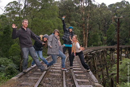 Und noch ein letztes Gruppenfoto, bevor wir schnell über die Brücke auf die andere Seite gerannt sind, da man von weitem das Signal des Puffing Billy hören konnte, was in der Regel heißt, dass er kommt....