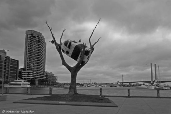 Die moderne Kunst darf natürlich auch nicht in den Docklands fehlen.... Eine überdeminsionale Kuh in einem toten Baum.... Geschmackssache...