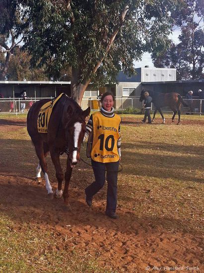 Ein Beweis, dass ich hier auch hin und wieder mal ein wenig arbeite.... Hier bin ich für Blackiston mit "Auriegirl" in Echuca auf der Rennbahn (Fahrzeit knapp 3 Stunden von Melbourne....)