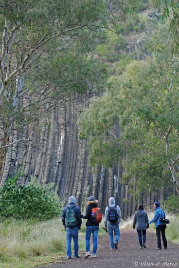 Nach so viel Aufregung ging es weiter zu dem eigentlichen Ziel des Nationalparks: den "Organ Pipes" - eine Basaltformation, welche aus Lava entstanden ist.....