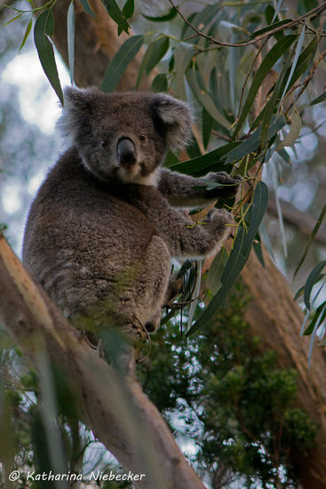 Ist er nicht süß...?