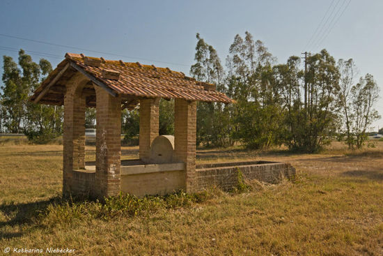 Der Brunnen mit Traenke fuer die Tiere.....