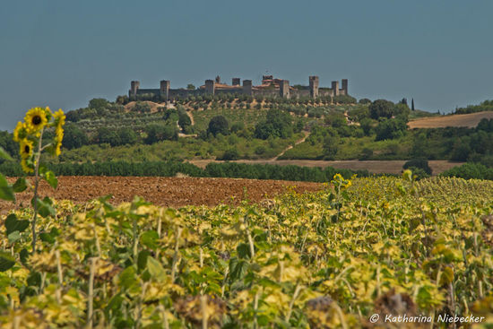 Die Burg einmal in der mir maximal möglichen Nahaufnahme - ich hatte das Telezoom ja in Australien gelassen, da ich nicht alle vier Objektive mitschleppen wollte.....