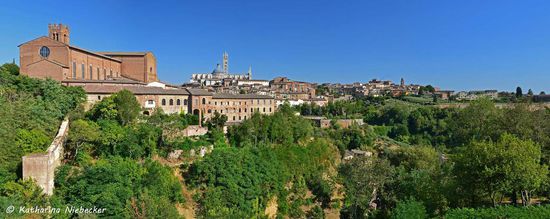 Ein Panorama-Blick vom Piazza della Liberta über Siena mit der Basilica di San Domanico und dem Dom.....