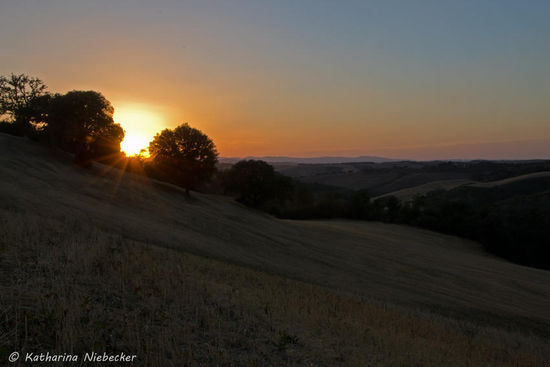 Und da ist er, der schöne Abschluß diesen erlebnisreichen Tages....