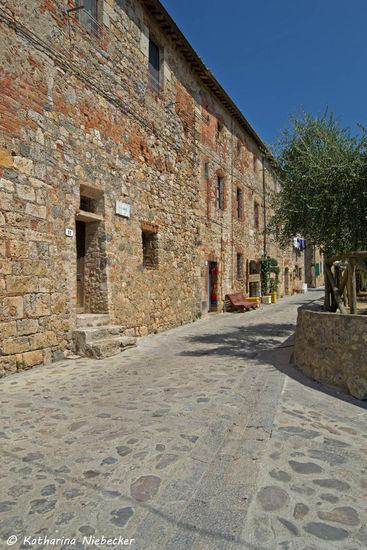 Ein Blick entlang der alten Häuser im Ortskern..... Auch hier sind überall Olivenbäume anzutreffen....