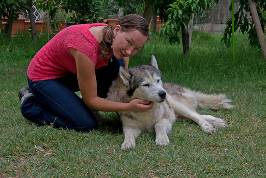 Abschied tut weh - auch der kleine Kerl hier ist mir in der kurzen Zeit sehr ans Herz gewachsen....... Mein letztes Bild vor meinem Abflug von Rom nach Melbourne.... Der erste und einzige Tag, wo hier für mich nicht die Sonne schien....
