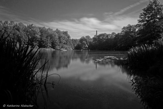 Frühstück am Teufelssee in Berlin.......